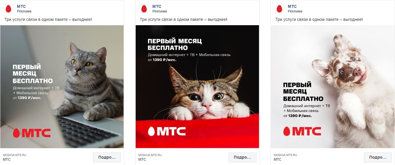 МТС и животные в рекламе МТС и животные в рекламе